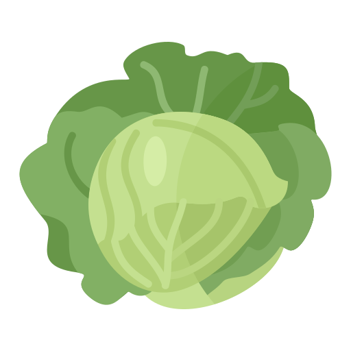 Cabbage / 卷心菜