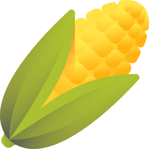 Corn / 玉米
