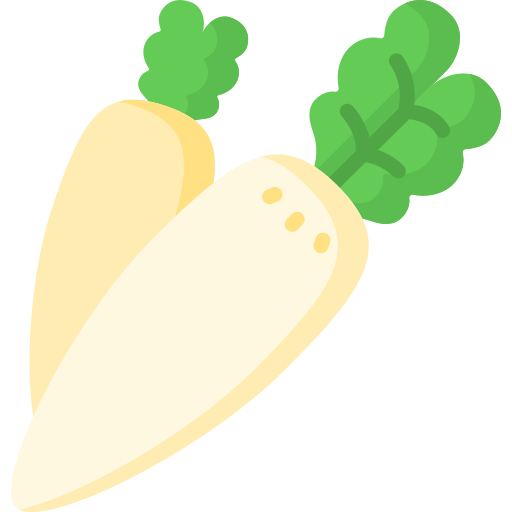 Radish / 萝卜