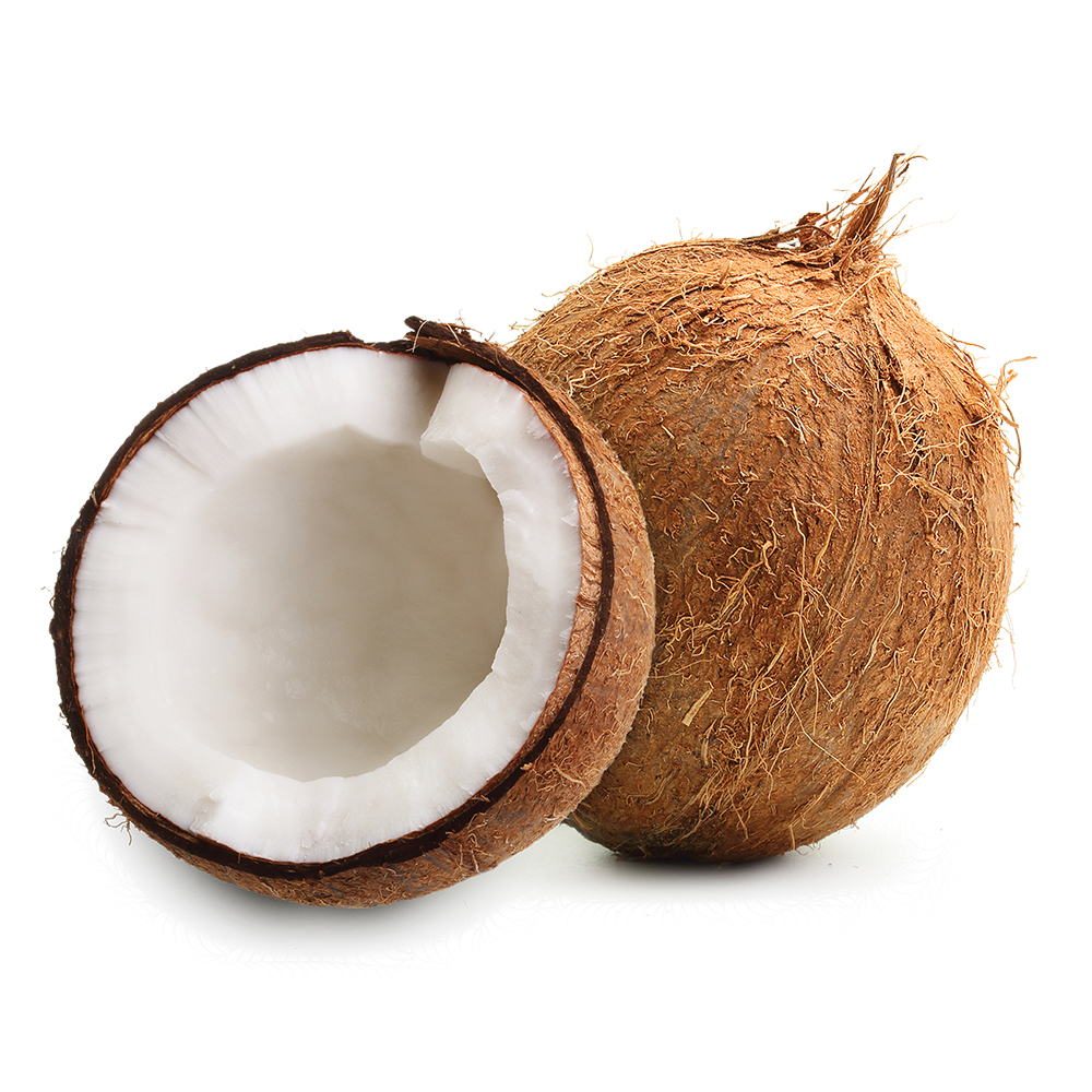 Coconut / 椰子