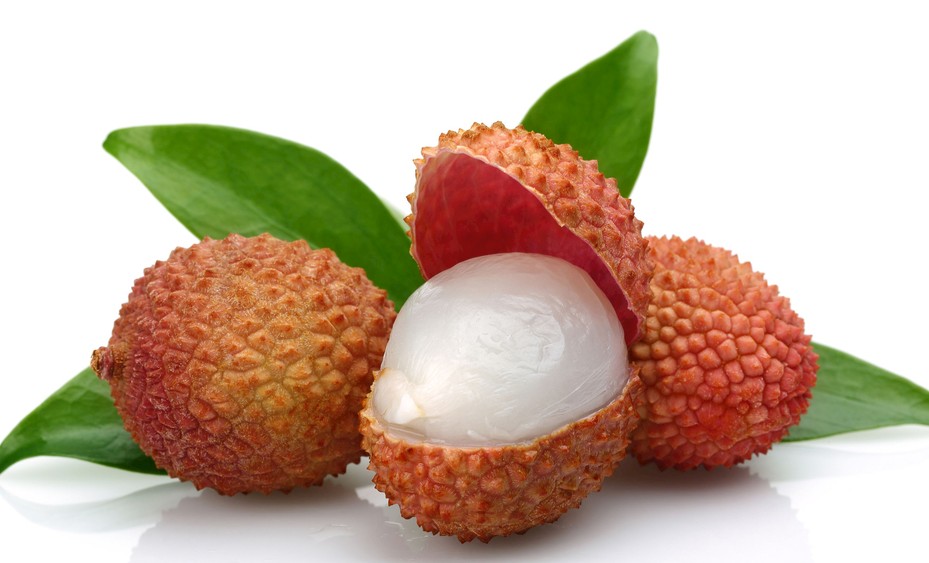 Lychee / 荔枝