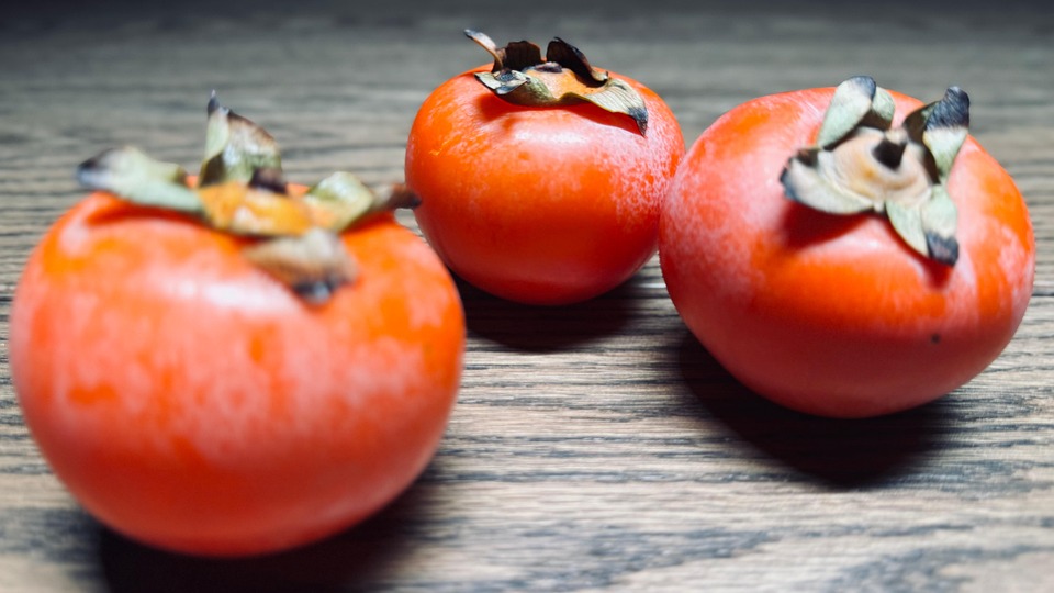 Persimmon / 柿子