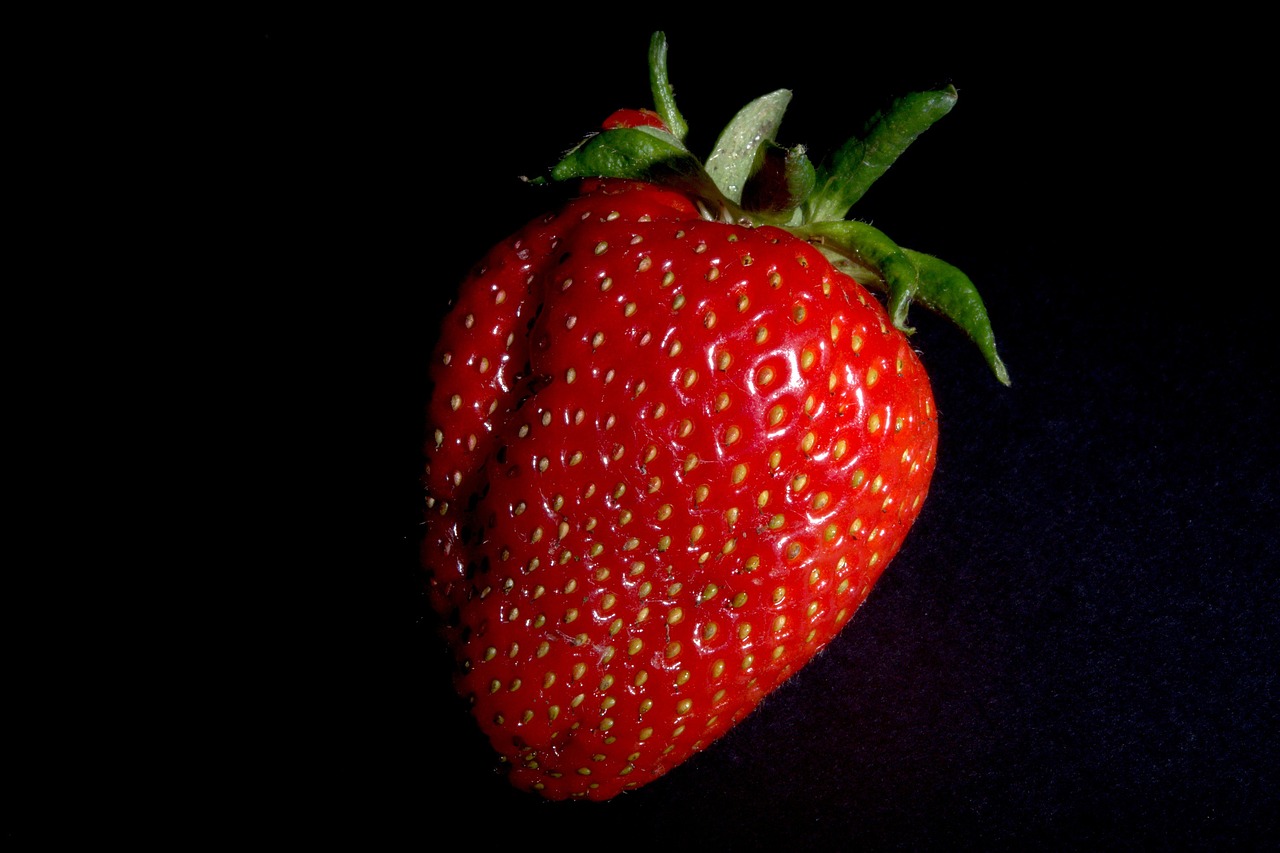 Strawberry / 草莓