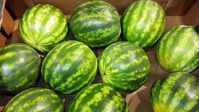 Watermelon / 西瓜